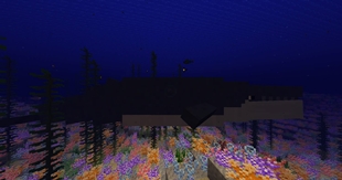 Server Image