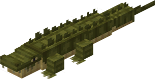crocodile.png