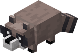 racoon.png