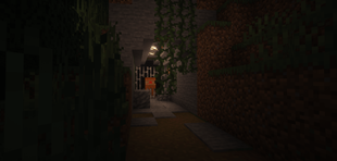 tunnel