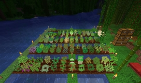 Crops