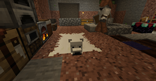 Butcher Bears