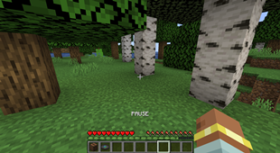 Pause Music
