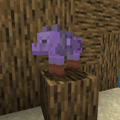 Design sem nome (39).png