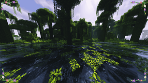 picture (1).png