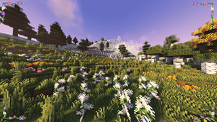 picture (2).png