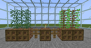 PlantsShowcase1.png