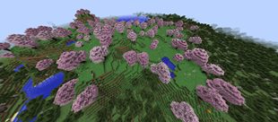 Cherry Biome 4