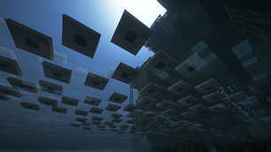 Frogspawn from underneath