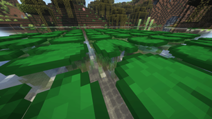 Many Lily Pads