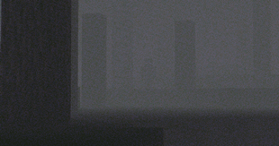 "There's a man in the woods."