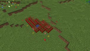 Tomatoes