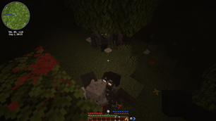 gameplayforet.png