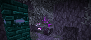 Pale Garden