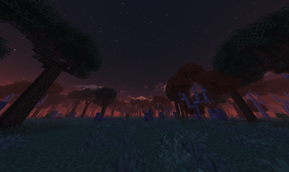 sunset (Large).png