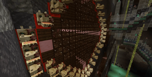 ss8