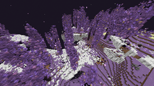 Second Biome dans l'end