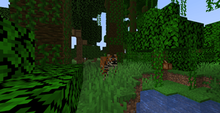 Tiger roaming in the jungle