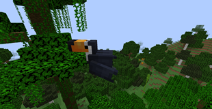 Toucan flying around