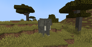 Elephant walking around the savanna