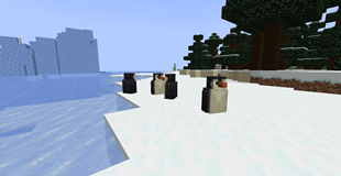 Cute little penguins