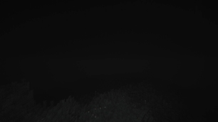 The Night