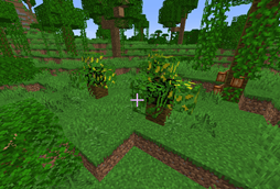 image4.png