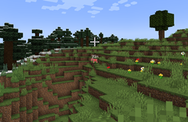 zoomed.png