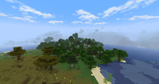 A forest