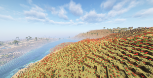 Fields