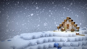 Snowy House