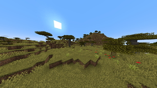 wild lemongrass savanna
