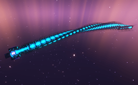Void Worm