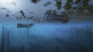 Sea nettles beneath the sargassum