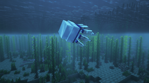 A Barrel Jellyfish floating among the kelp