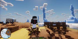Game gameplay.