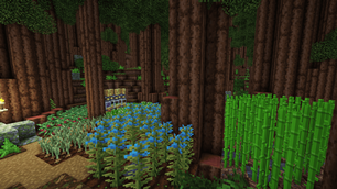 Friends Builds/Farms - 3