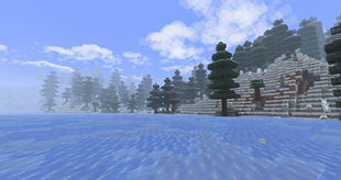 Snowy landscape