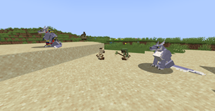 1.4.3 Update