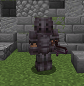 Netherite Armor, only the helmet and chestplate have been changed