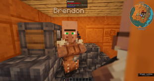 Funny Villager