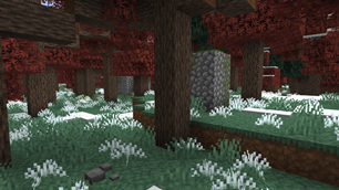 Inside a Maple Grove