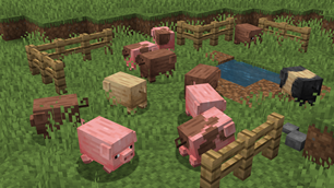 Pig Remodel and Variants