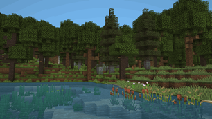 River along an Old Growth Forest