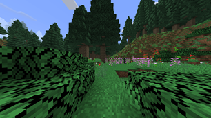2025-03-02_02.59.50.png