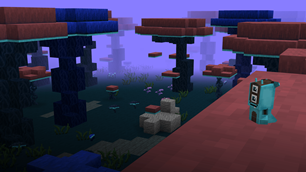 Never recorded on video