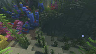 Hippocampus reef