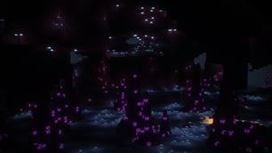 Complementary Reimagined Shaders, Brightworm Cavern