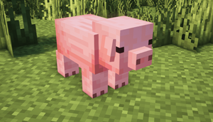 2025-03-02_09.19.20.png
