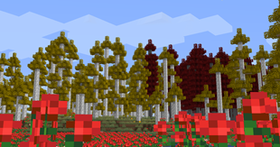 1.16.5 BYG
